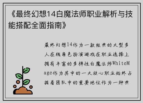 《最终幻想14白魔法师职业解析与技能搭配全面指南》